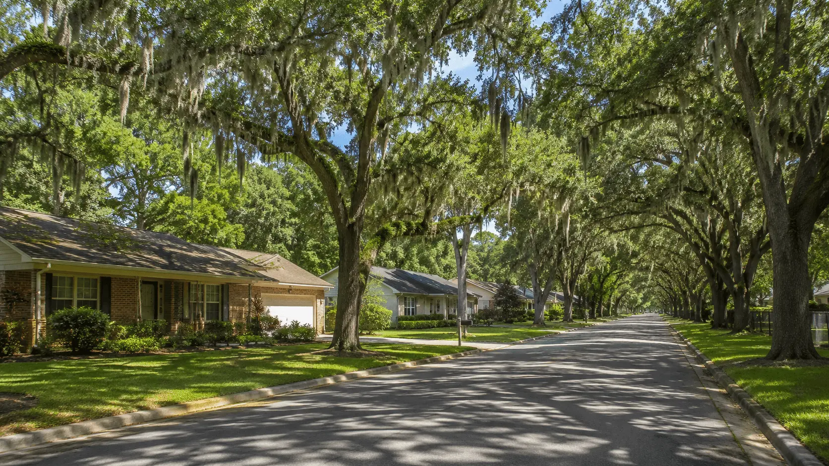 Residential neighborhood street in Lake City Florida served by mold removal and restoration services